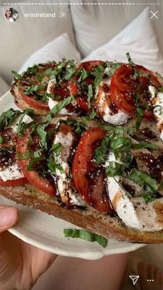 a close up of a plate of food with tomatoes and mozzarella on it