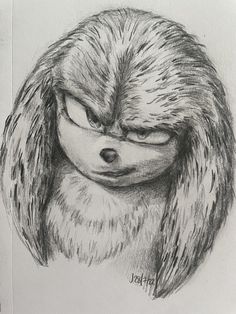 a pencil drawing of a furry animal with big eyes and long fur on it's head