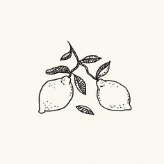 two lemons on a branch with leaves drawn by hand in black and white ink