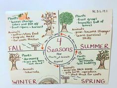 the four seasons are depicted on a white board