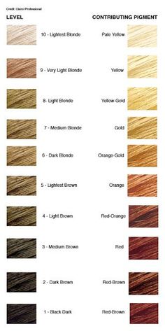 hair color levels. If you have darker hair and wish to lighten your hair without "damaging your hair toooooo much", try 2-3 shades higher than your current shade. Level 8 Hair Color, Blonde Hair Levels, Levels Of Hair Color, Bleaching Hair, Hair Chart, Hair Levels, Hair Color Formulas, At Home Hair Color, Hair Color Chart