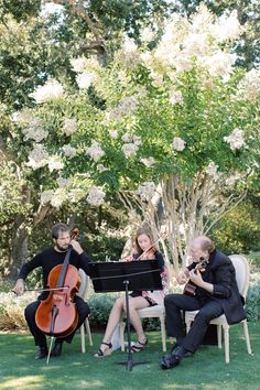 three people sitting in chairs playing instruments on the grass with trees and bushes behind them