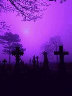 a purple foggy graveyard with crosses in the foreground and trees to the right