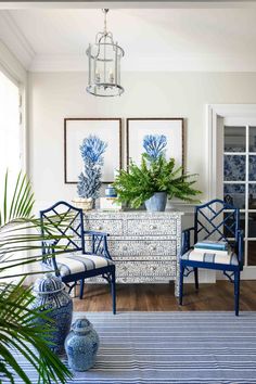 a living room with blue and white decor on the walls, furniture and plants in vases