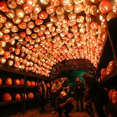 many pumpkins are lit up in the shape of heads and faces as people look at them