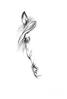 a black and white drawing of a horse's head