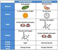 two tables with different types of water and energy sources in each table, one is labeled