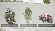 four different types of flowers on a white wall