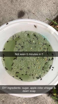 a white bowl filled with green liquid on top of a cement floor next to grass