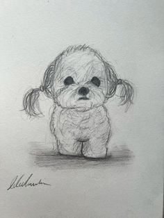 a drawing of a small dog with long hair