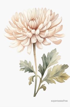 a watercolor painting of a large flower