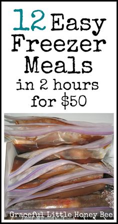 freezer meals in 2 hours for $ 60 are easy to make and cost less