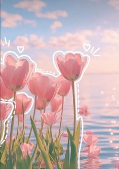 some pink flowers are in the water and there is a heart shaped frame above them