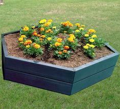 a raised garden bed with yellow and orange flowers growing in it on the grass outside