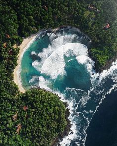 an aerial view of the ocean with waves crashing in to shore and trees surrounding it