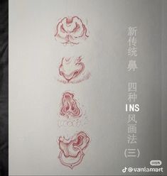 an image of some type of drawing with chinese characters on it's back side