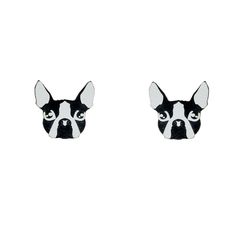 two small black and white dogs with big eyes on their ears are shown in front of a white background