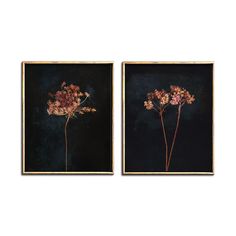 two framed pictures with flowers in them