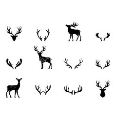 the silhouettes of deer's heads and antlers