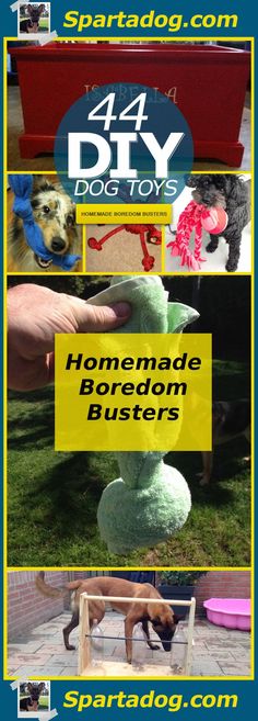 four different pictures with the words 4 / 4 diy dog toys