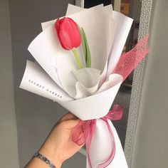 a hand holding a bouquet of flowers with pink ribbon around the end and two red tulips on top