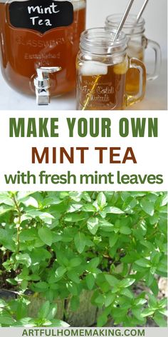 homemade mint tea recipe with fresh mint leaves in mason jars and the words make your own mint - tea