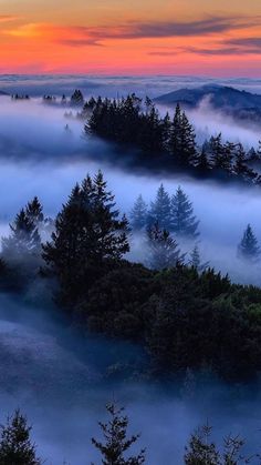 the sun is setting over some trees in the foggy mountains with low lying clouds