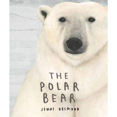 Polar Bear Book and Bear Box Mini Polar Bear - Large + Small Best Science Books, Polar Bear Facts, Save The Polar Bears, Illustrated Invitations, Lion Book, Childrens Books Illustrations, Children's Picture Books, Books For Children, Blue Whale