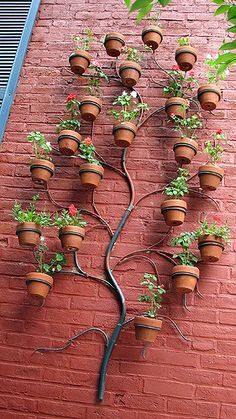 a tree made out of potted plants on the side of a building