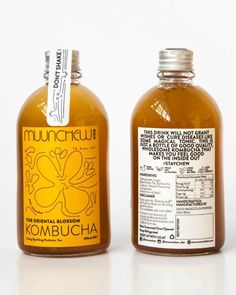 two bottles of kombucha on a white background