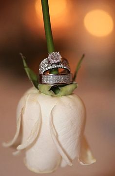 two wedding rings sitting on top of a flower