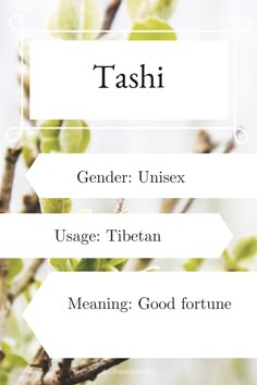 the four words that describe each other in different languages