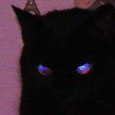 a black cat with glowing blue eyes looking at the camera