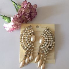 Large Jeweled Clip On Earrings *Missing One Stud Beige Drop Earrings For Party, Elegant Beige Teardrop Earrings, Elegant Beige Metal Jewelry, Large Earrings, Earrings Color, Physical Health, Clip On, Amazing Jewelry, Clip On Earrings