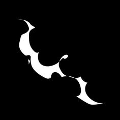 a black and white image of two bats on a dark background with the moon in the middle