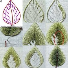 four different types of leaves are shown in this drawing technique, and each leaf has a red circle at the center