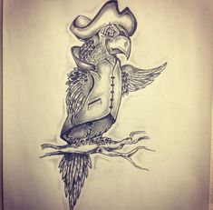 a drawing of a bird with a pirate hat on it's head sitting on a branch