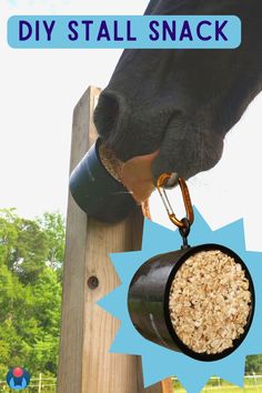 Image of horse nose and mouth close up, licking a DIY horse toy. Inset image shows DIY stall snack for horses made of cereal and marshmallow. Text above reads: DIY STALL SNACK. Horse Mane Braids, Horse Paddock, Horse Barn Ideas Stables, Healthy Horses, Kitchen Ingredients