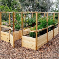 several wooden raised garden beds with plants growing in them