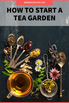 various teas and spoons are arranged on a black background with the words benefits of tea