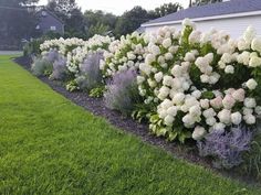 white and purple flowers line the side of a house