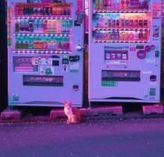 a cat sitting in front of two vending machines with drinks on it's sides