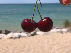 two cherries hanging from a branch on the beach