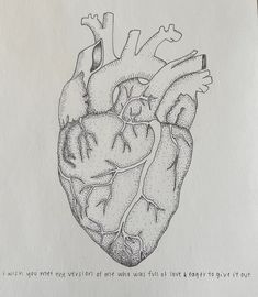 a black and white drawing of a human heart