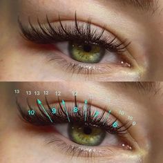 Fox Wispy Lashes, Eyelash Tips, Ear Piercings Tragus, Eyelash Technician