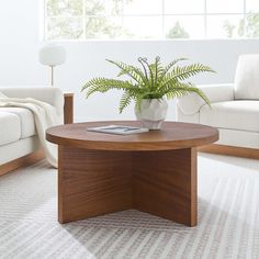 a potted plant sitting on top of a wooden table in front of a white couch