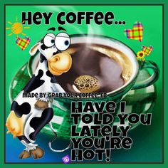 a cartoon cow drinking coffee from a cup with the caption hey coffee made by grab your coffee