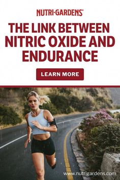 Many people wonder, what does nitric oxide do for the body, without considering key factors. Learn what you should know about nitric oxide. Circulatory System Function, Healthy Heart Tips, Peripheral Nervous System, Health Signs, Increase Stamina, Nitric Oxide, Circulatory System, Cardiovascular System