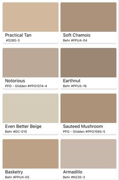 the different shades of paint for walls and floors in various colors, including beiges, brown