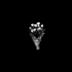 white tulips are in the dark on a black background with an origami mask